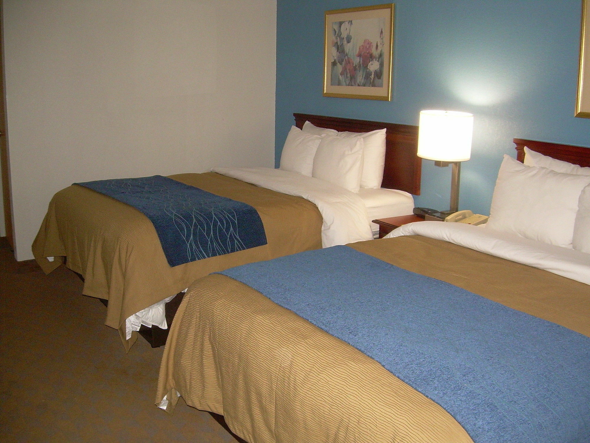 Comfort Inn & Suites Lees Summit - Kansas City Lee's Summit Bagian luar foto